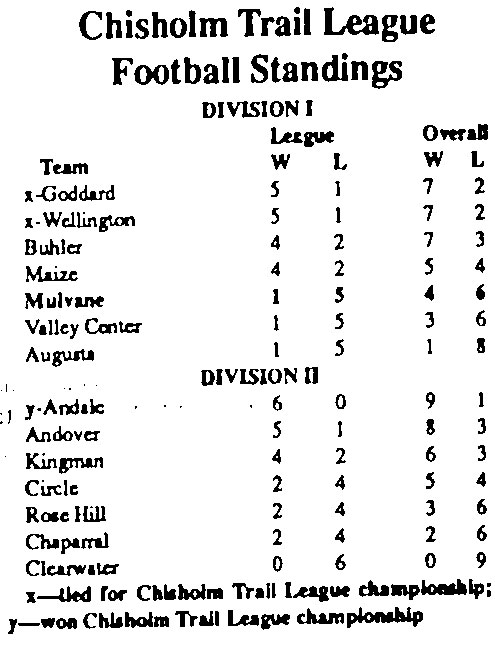 1991 NFL Standings